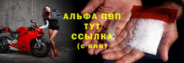 стафф Грязовец