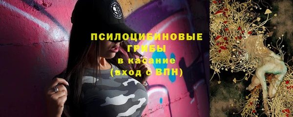 дурь Абдулино