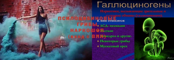 шишки Абинск