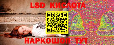 крисы Абакан