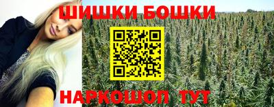 крисы Абакан