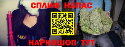 крисы Абакан