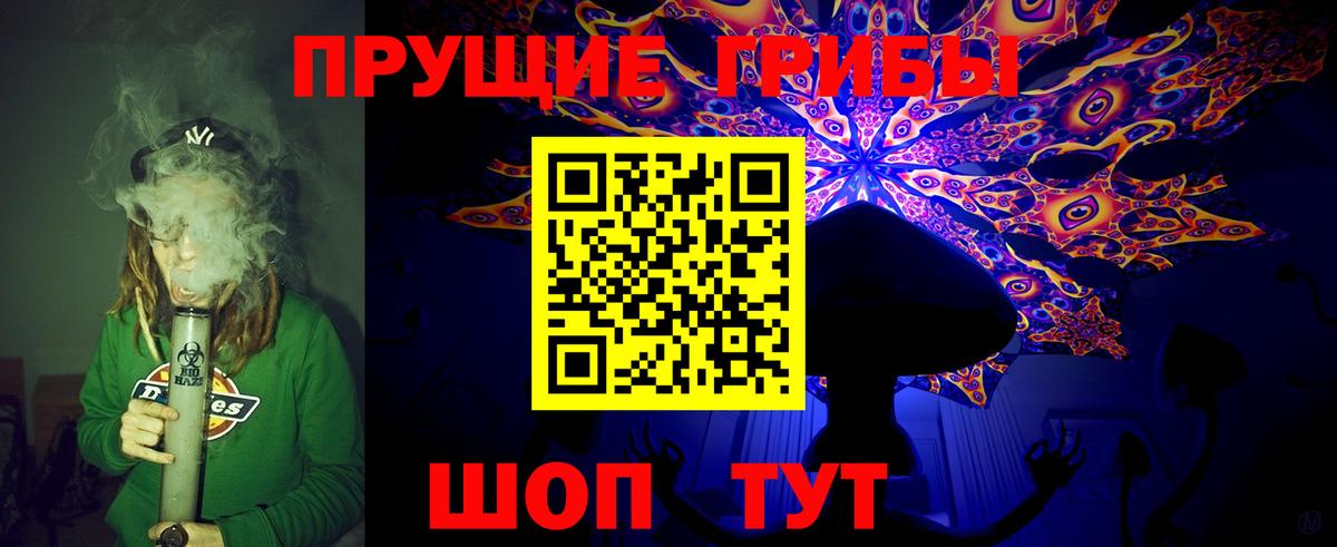 Псилоцибиновые грибы Psilocybe Алексин